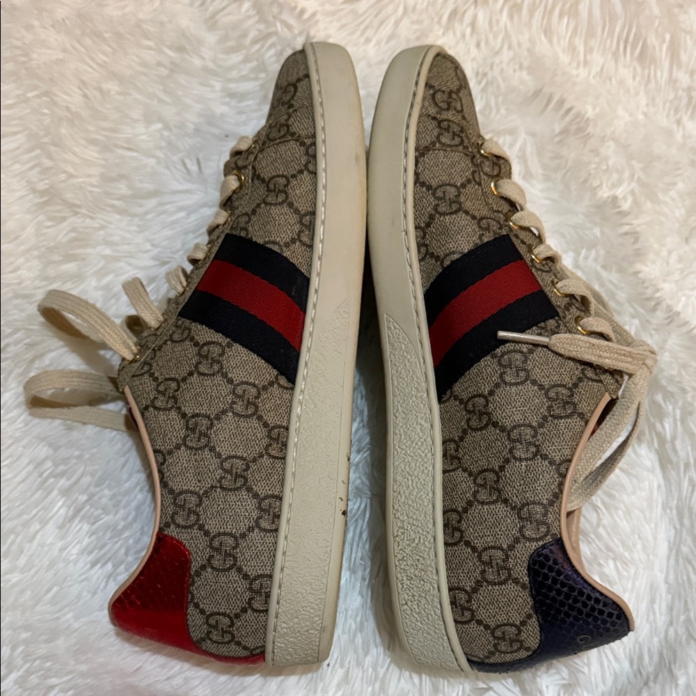 Gucci Women’s GG Supreme Sneaker in Brown with Red & Blue - Picture 6 of 7
